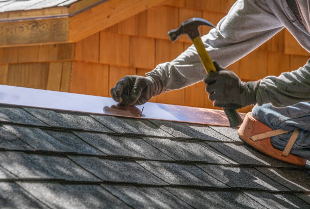 Best Chimney Flashing Repair  in Argyle, TX