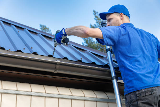 Best Gutter Replacement  in Argyle, TX