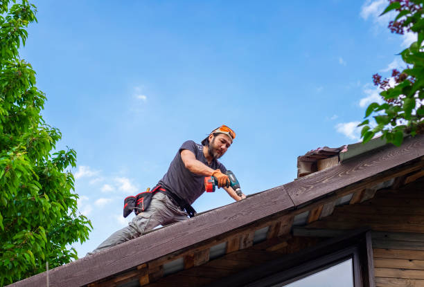 Best Sheet Metal Roofing  in Argyle, TX